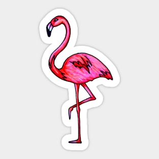 Flamingo Sticker